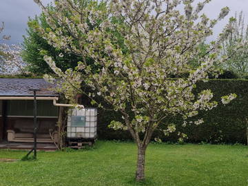 Chambre Chez L'habitant Mignières 517827-5
