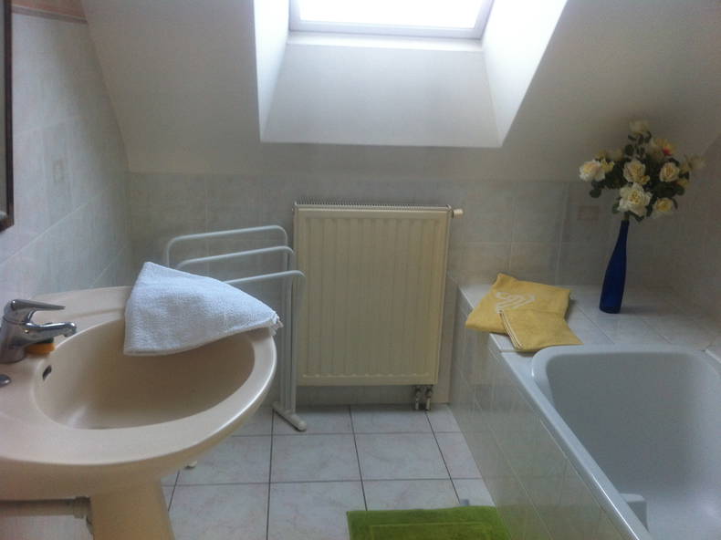 Gastfamilie Vannes 385275-2