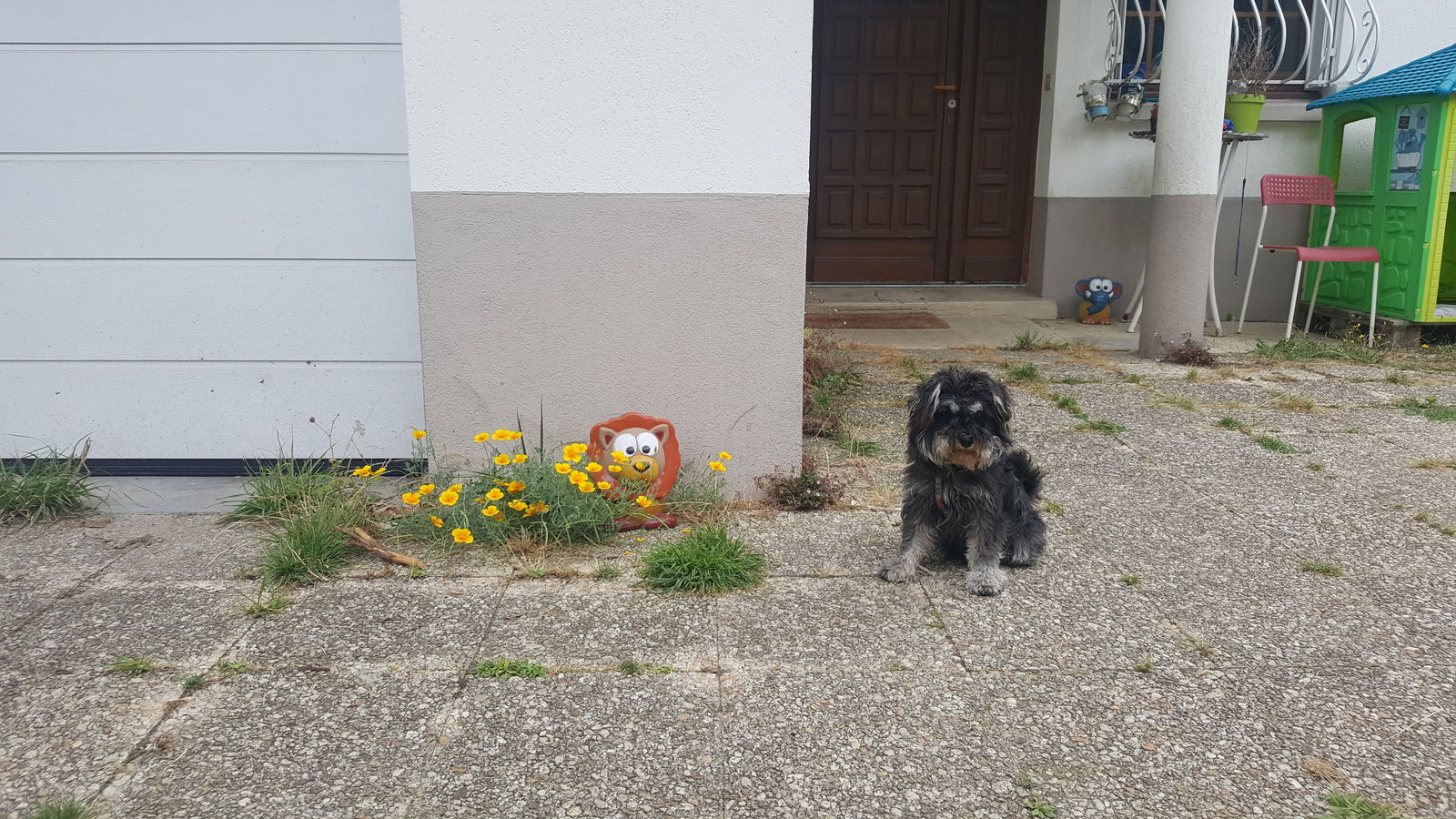 Homestay Vitry-sur-Seine 217681