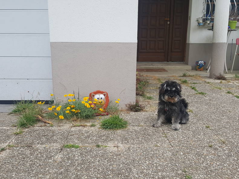 Gastfamilie Vitry-sur-Seine 217681-2