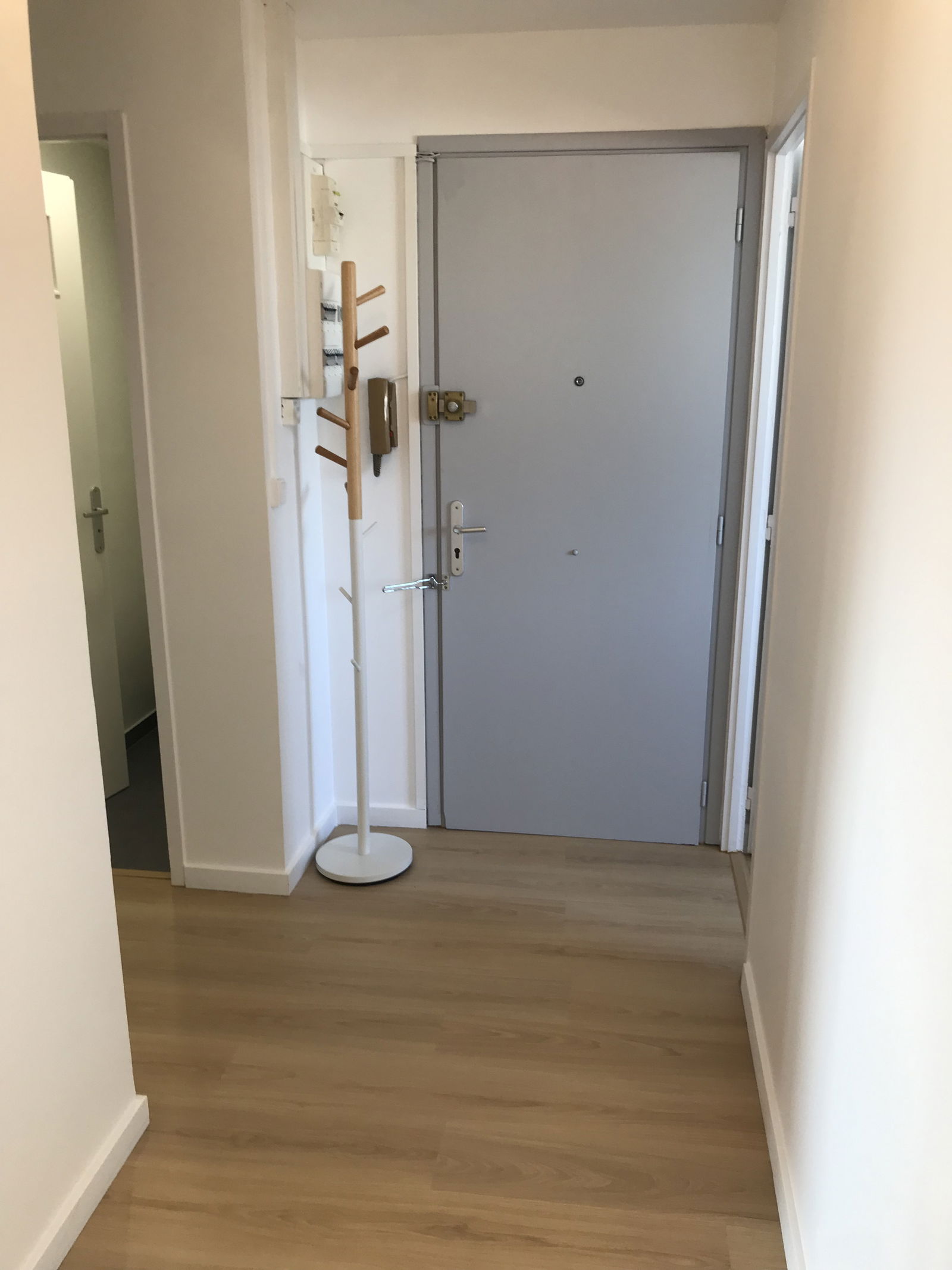 Colocation Lyon 255082