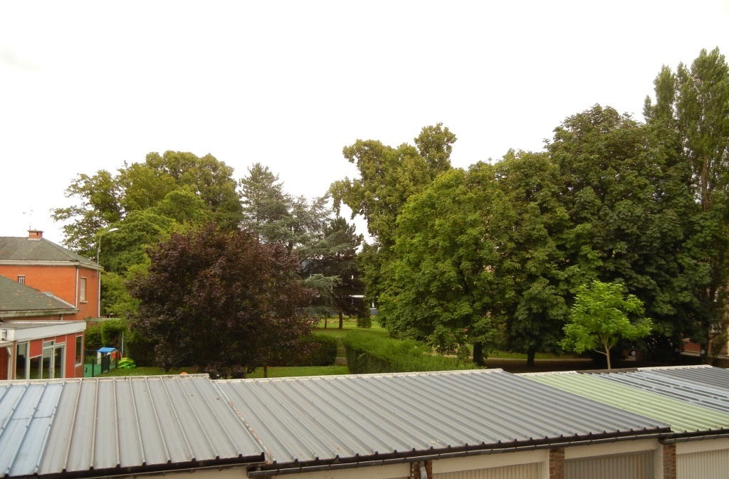 Colocation La Madeleine 257264