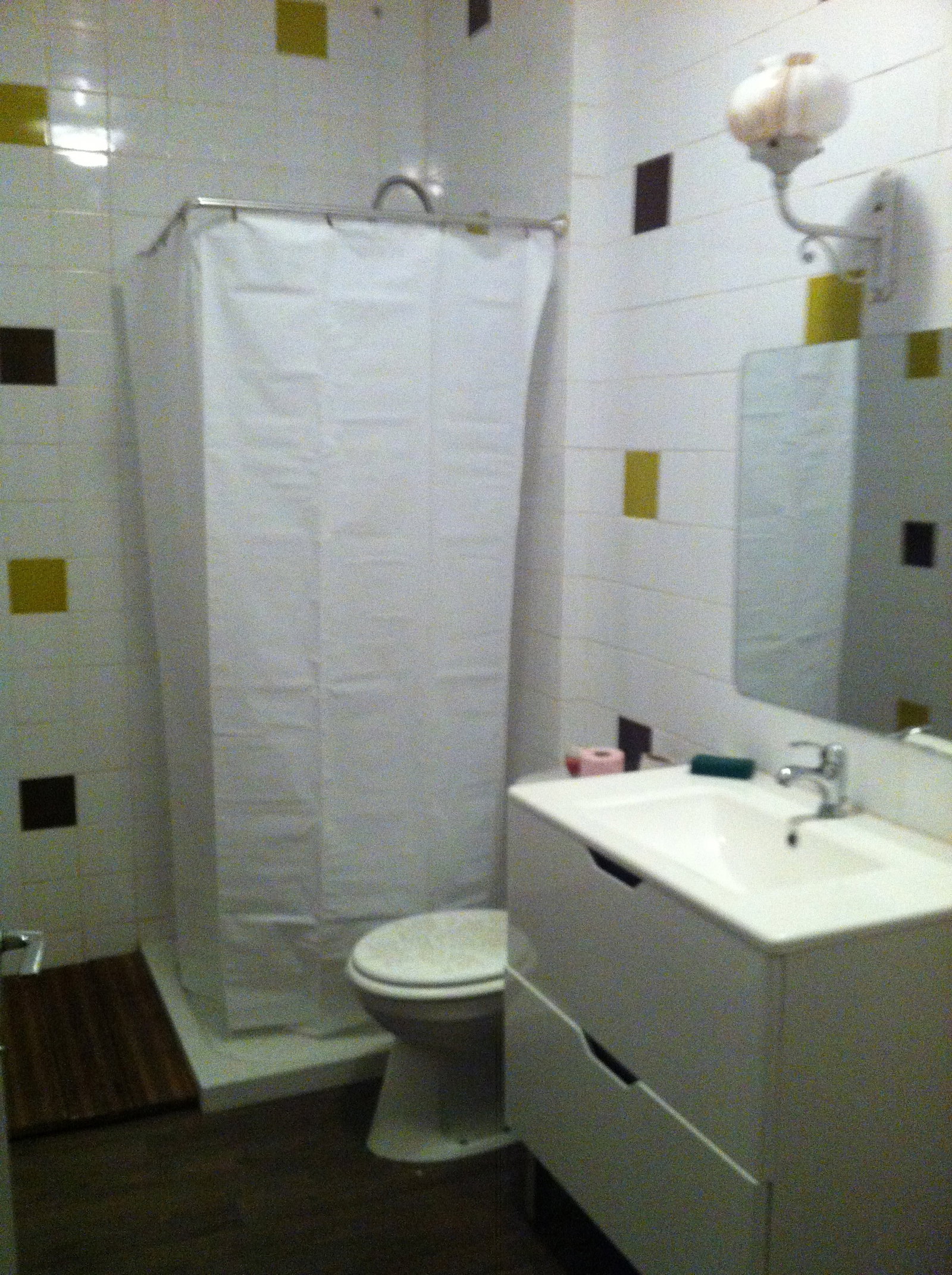 Colocation Lyon 100449