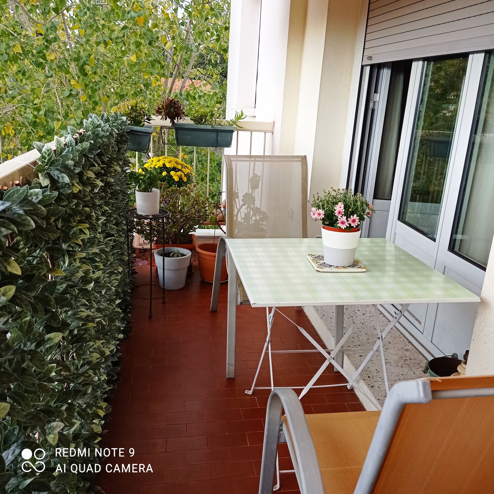 Homestay Antibes 251347