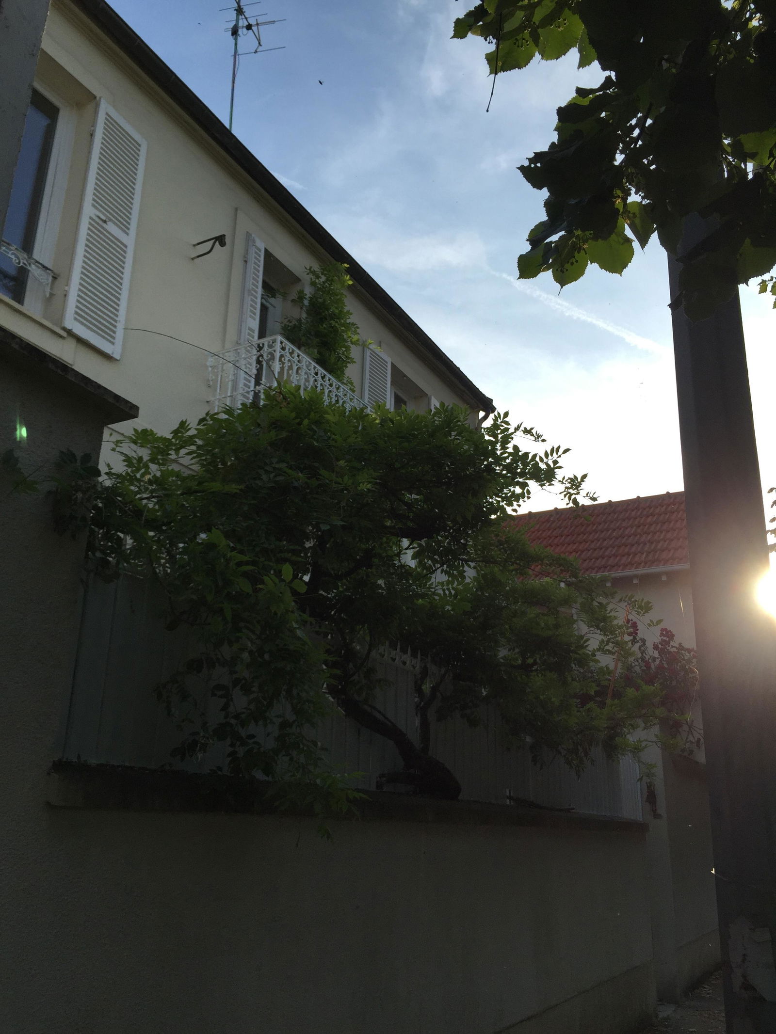 Bed And Breakfast Fontainebleau 119869