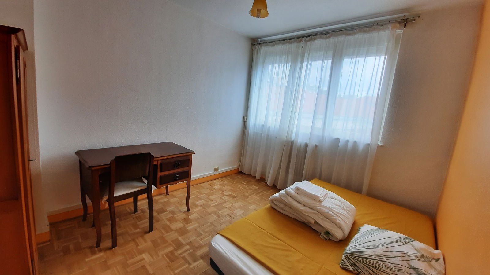 Kolokasie La Madeleine 257264