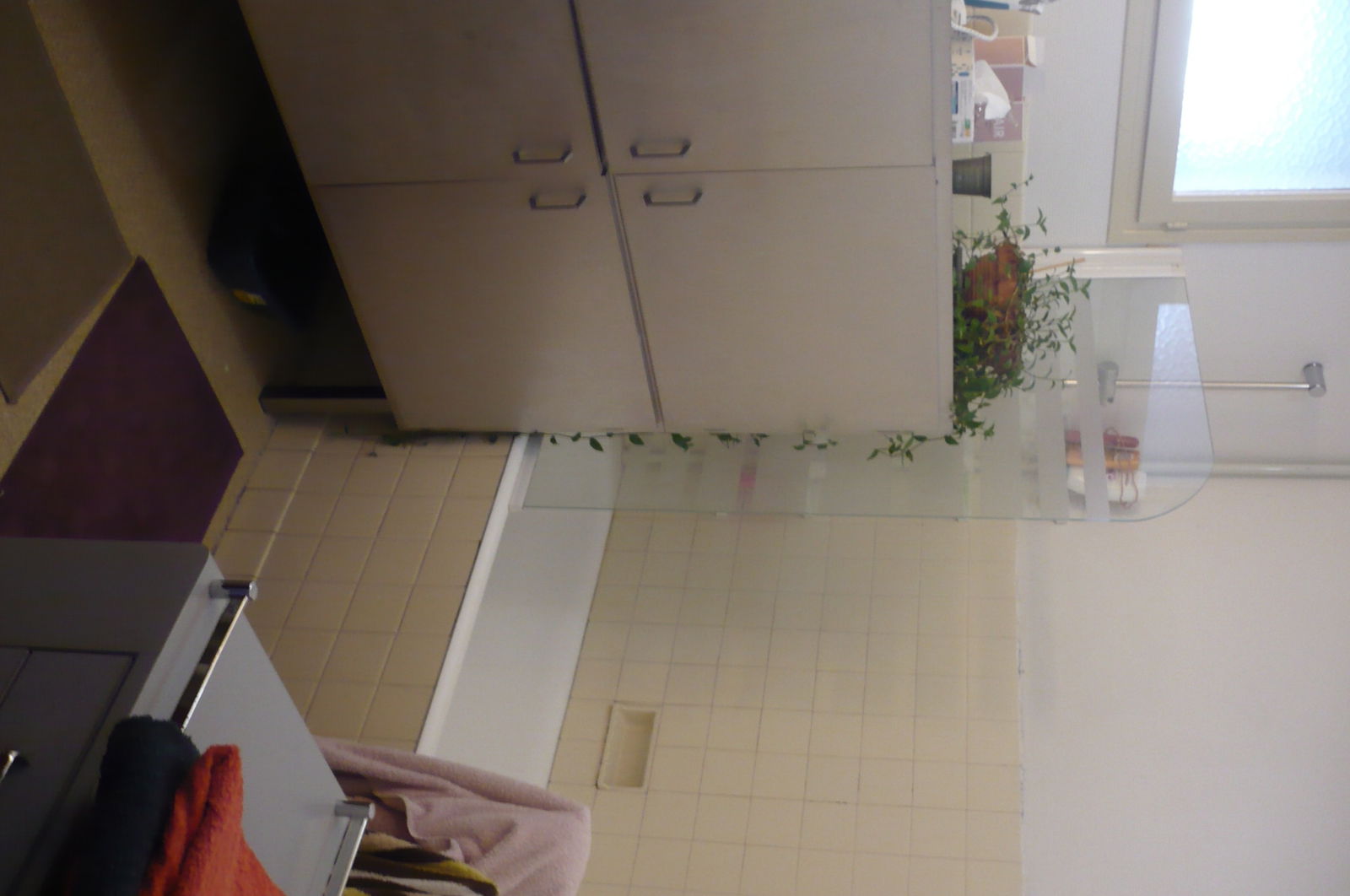 Colocation Digne-les-Bains 110461