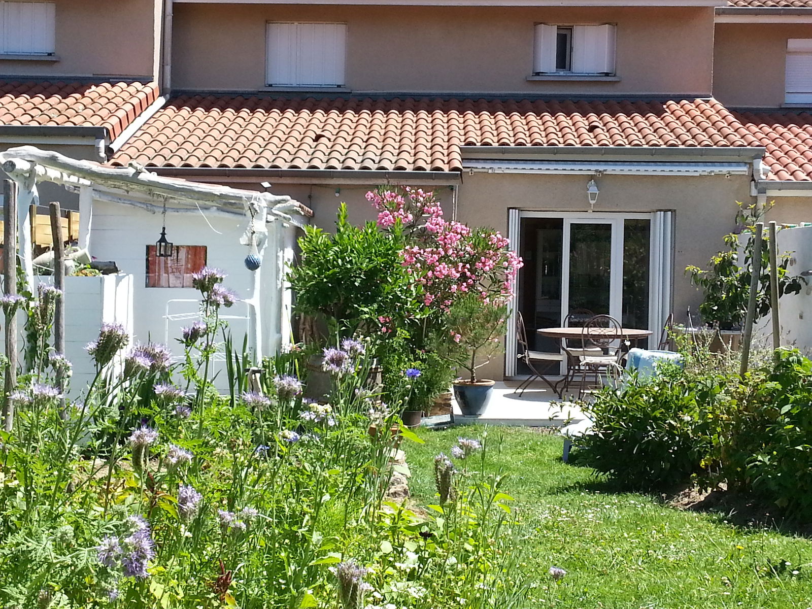 Famiglia Lupé 81645