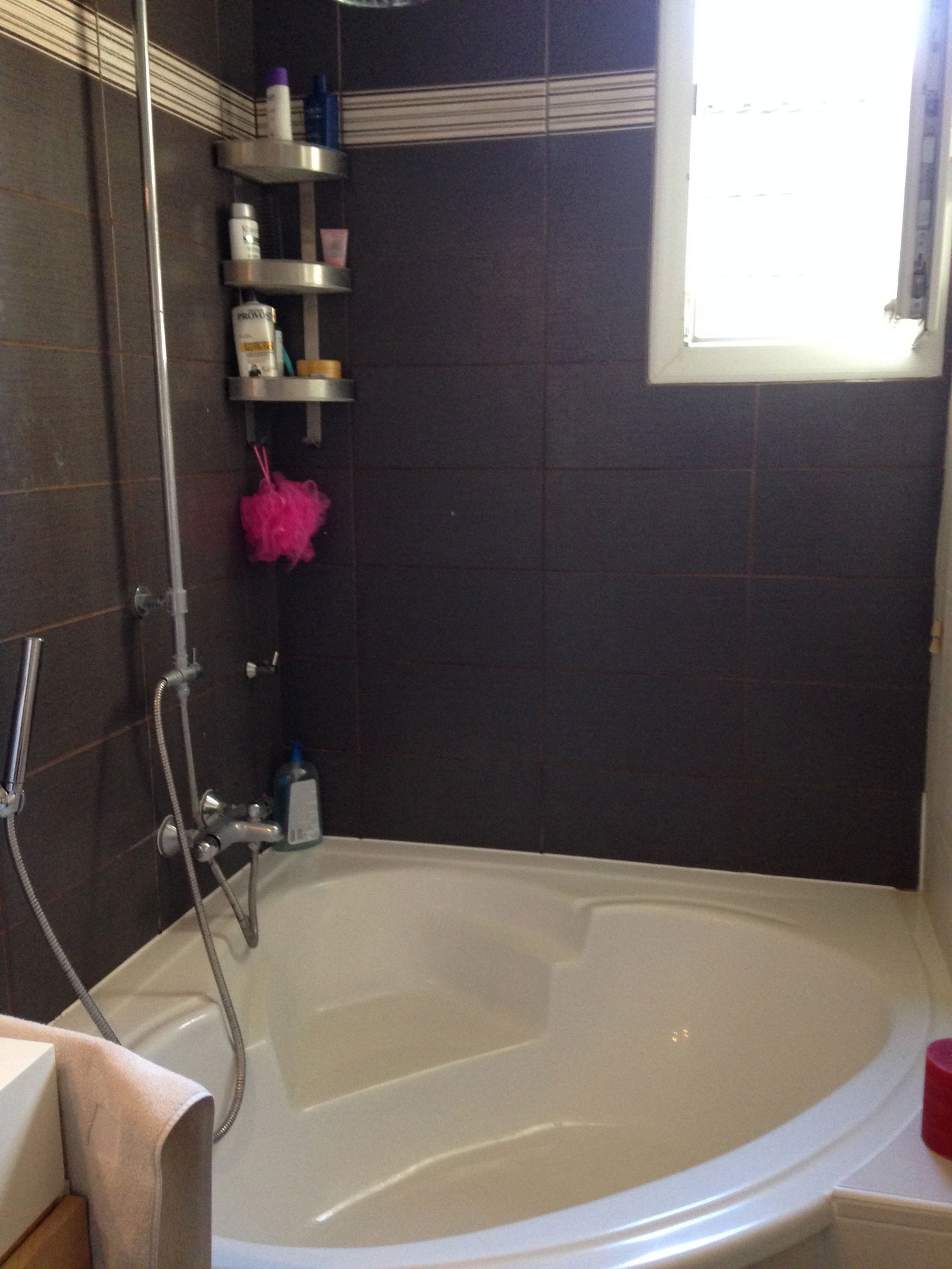 Gastfamilie Boulogne-Billancourt 94476