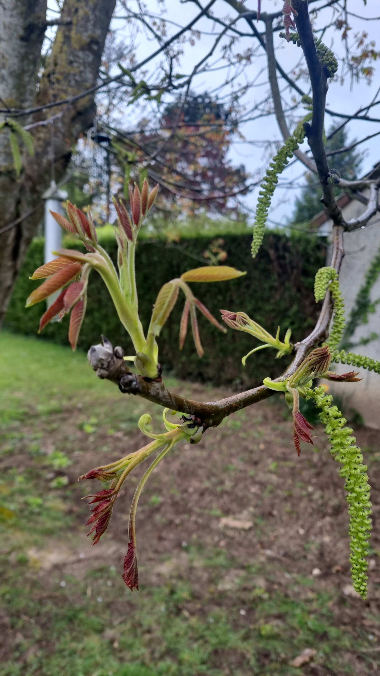 Homestay Mignières 517827