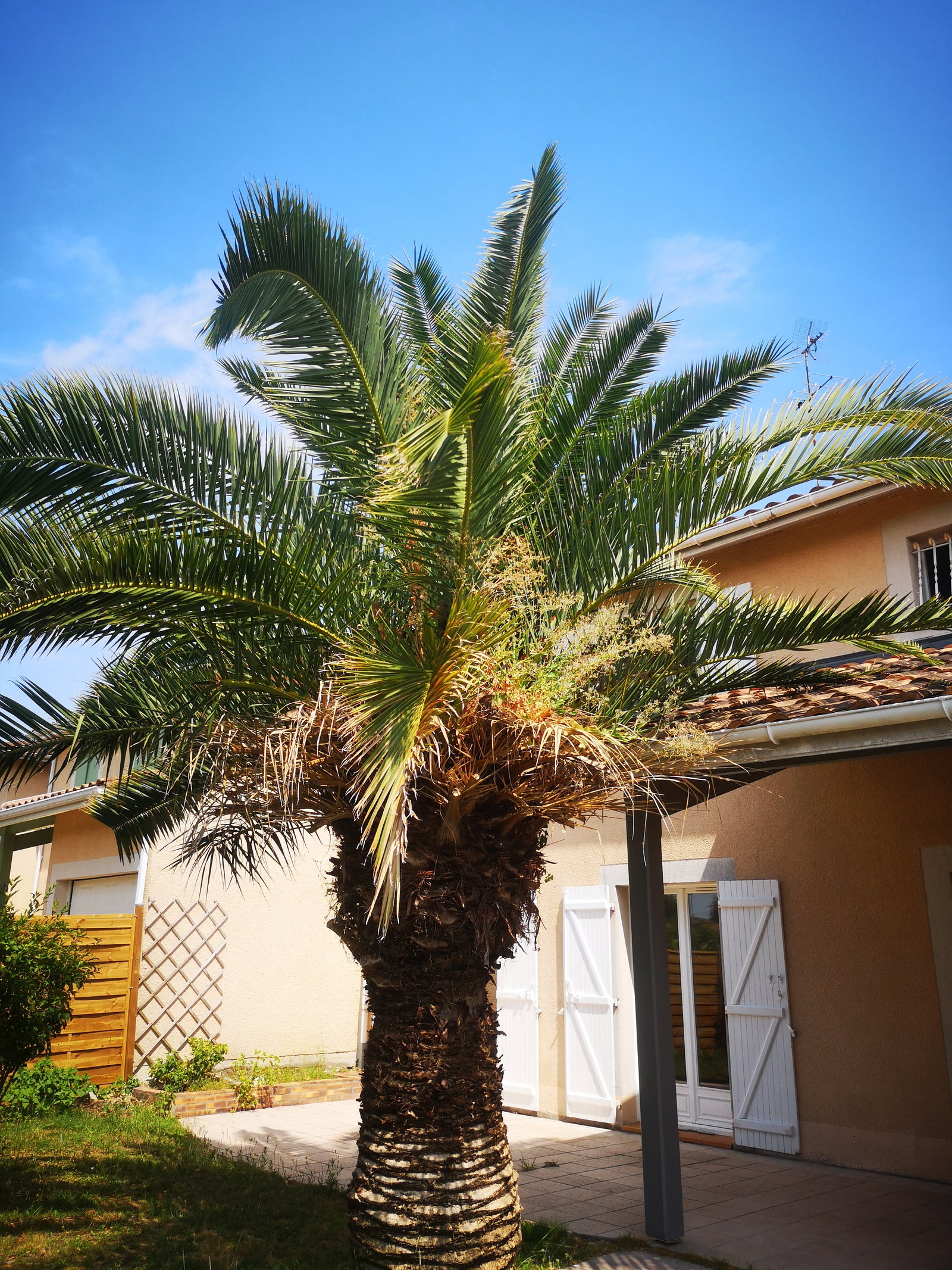 Homestay Eysines 244716