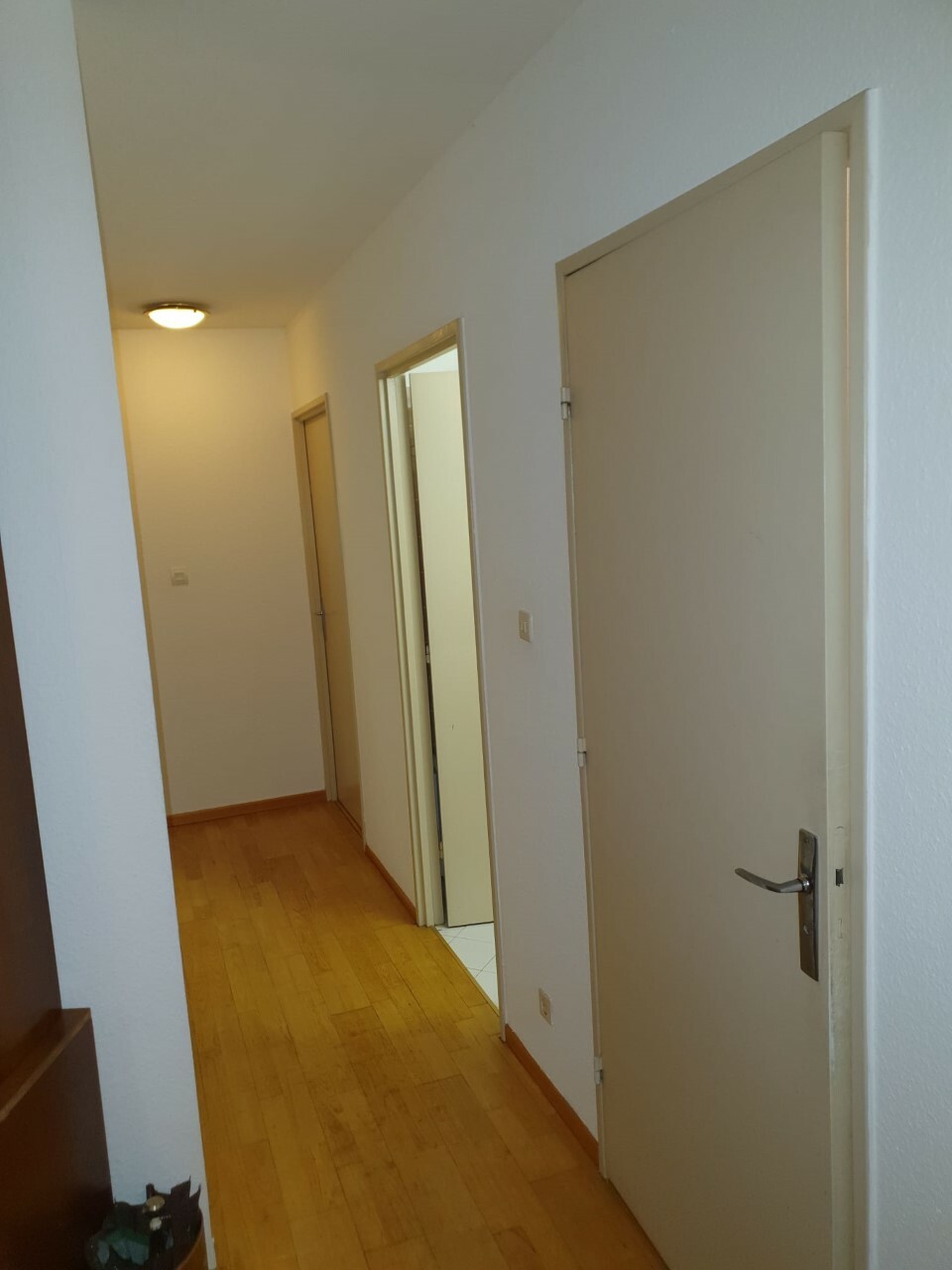Kolokation Strasbourg 256799