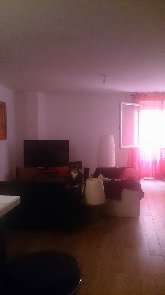 Gastfamilie Toulouse 107903