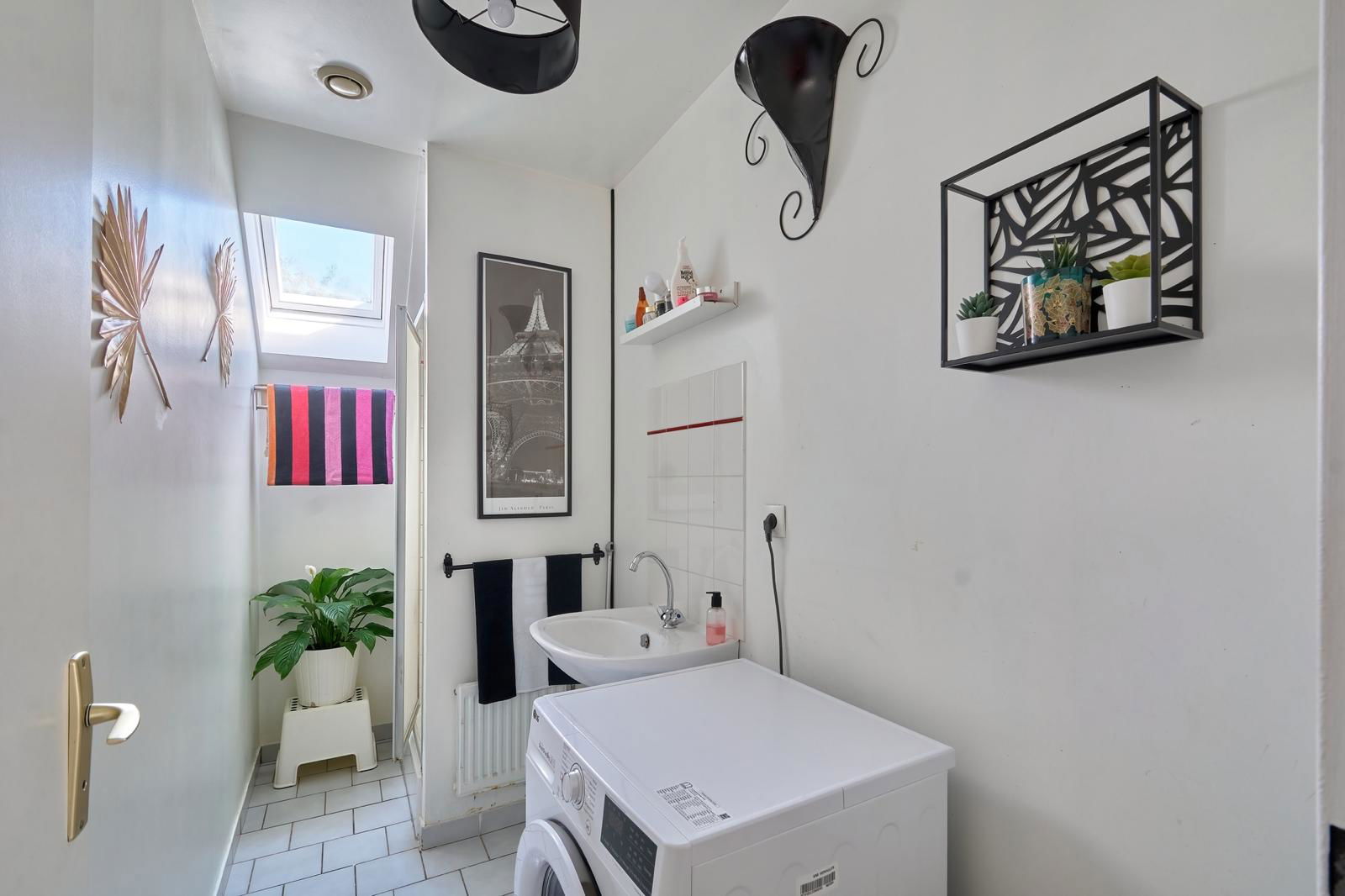 Kolokasie Courdimanche 569751