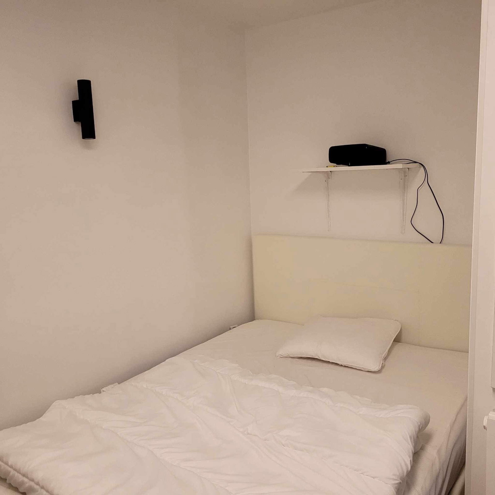 Kolokasie Grenoble 481636