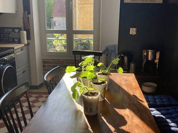 Roomlala | 100m2 gemeubileerd appartement te huur