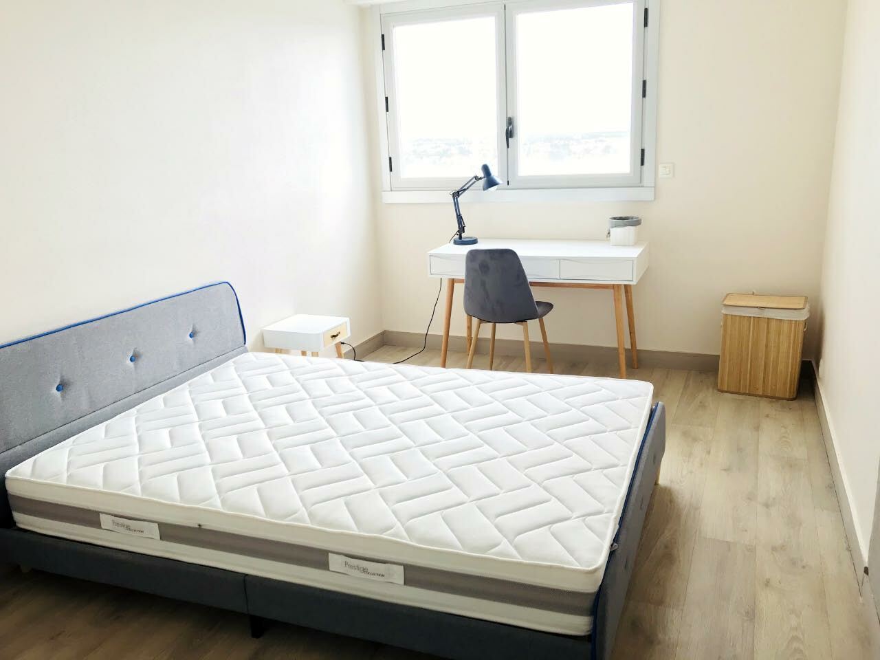 Colocation Poitiers 249748