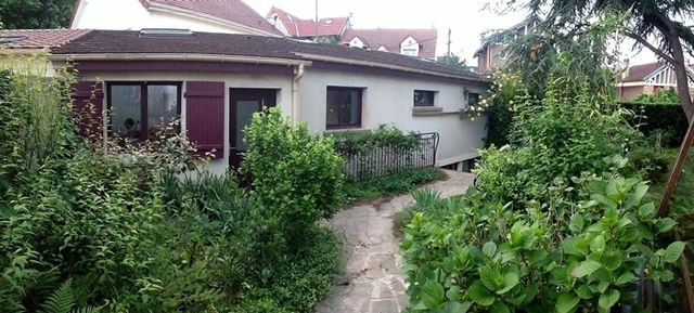 Kolokasie Viroflay 58967