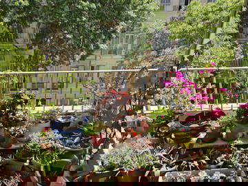 Chambre Chez L'habitant Marseille 377562-5