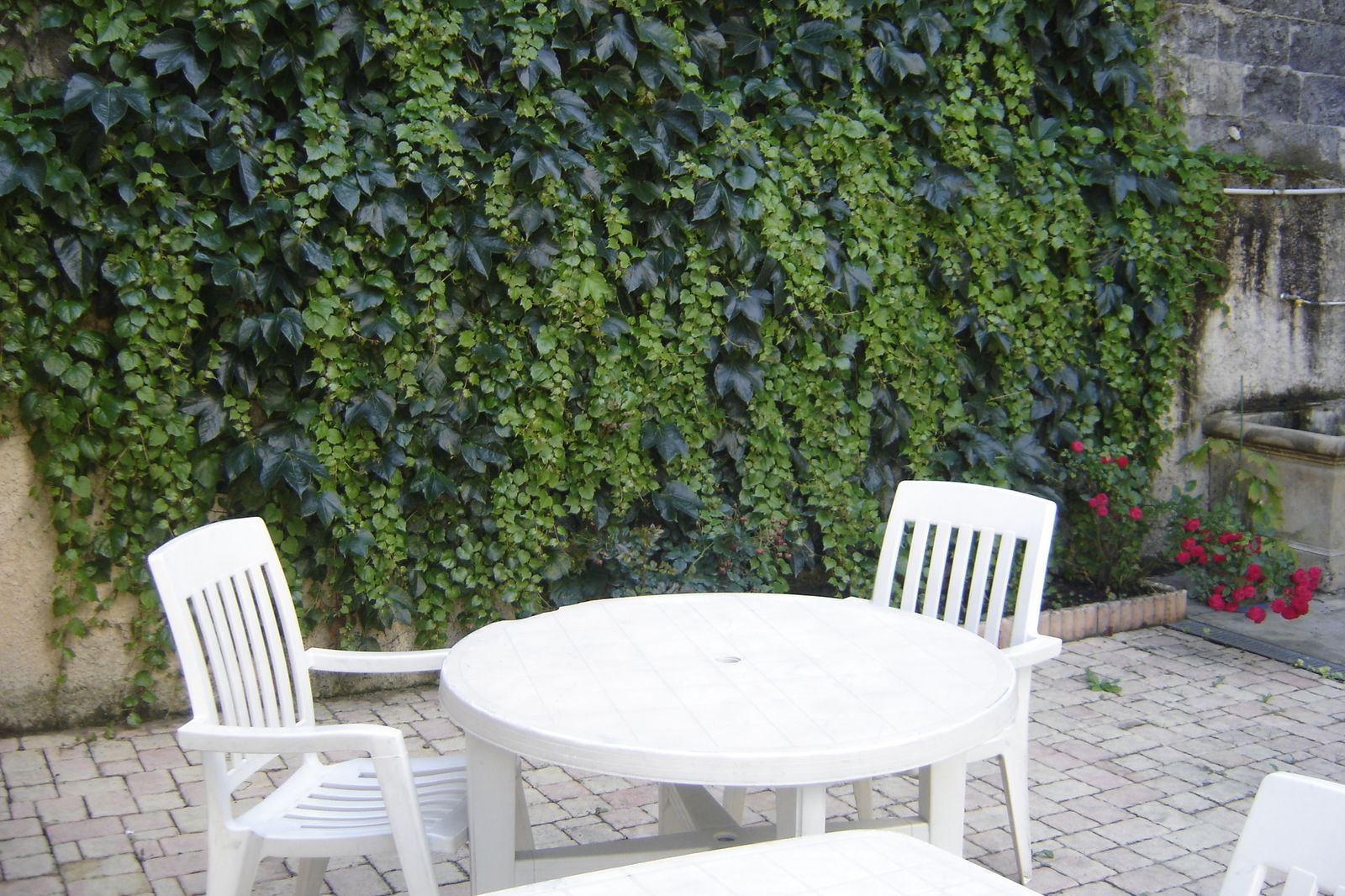 Homestay Grenoble 249949