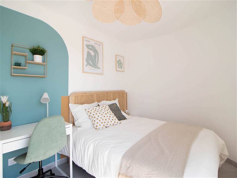 Chambre À Louer Villeurbanne 265600