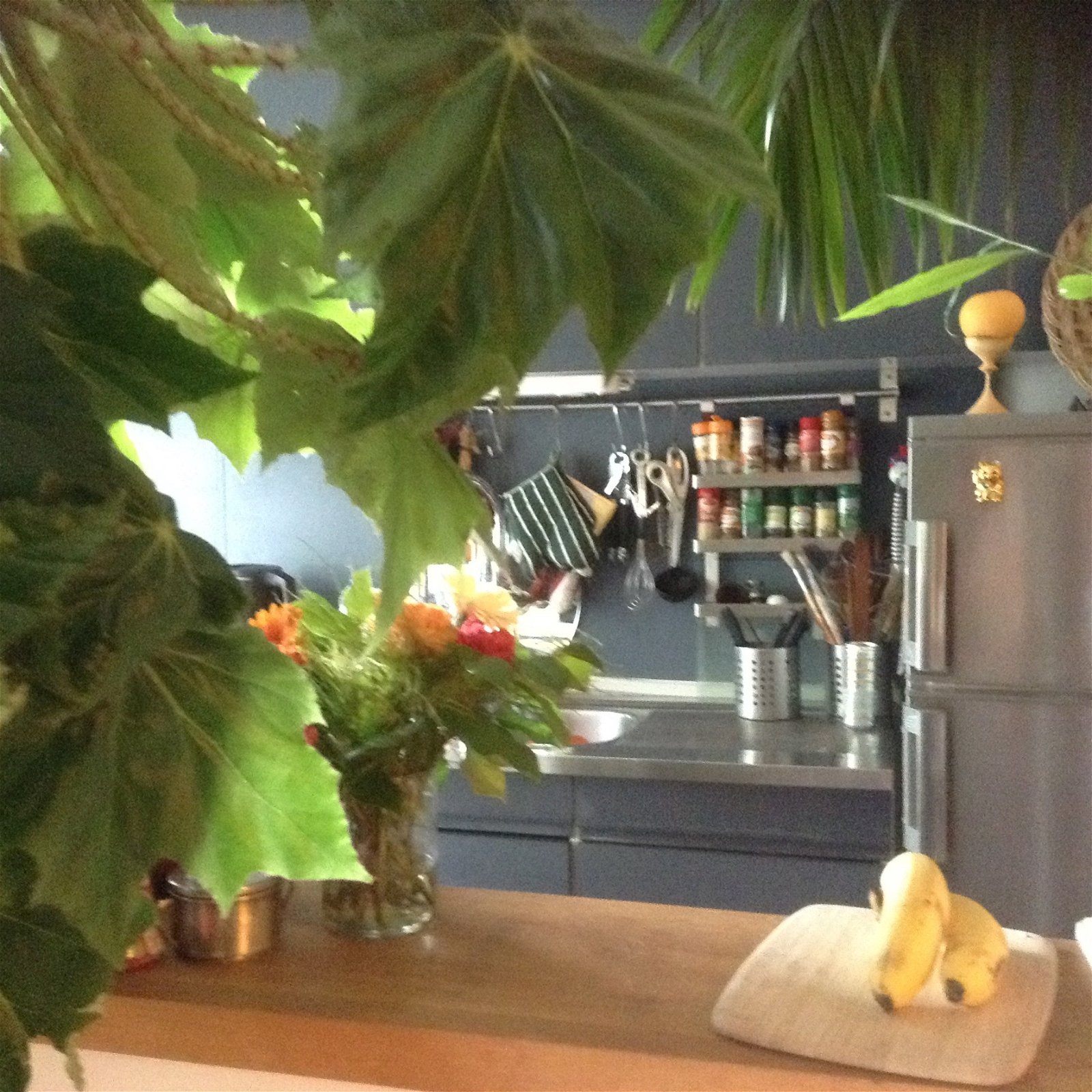 Colocation Uccle 231620