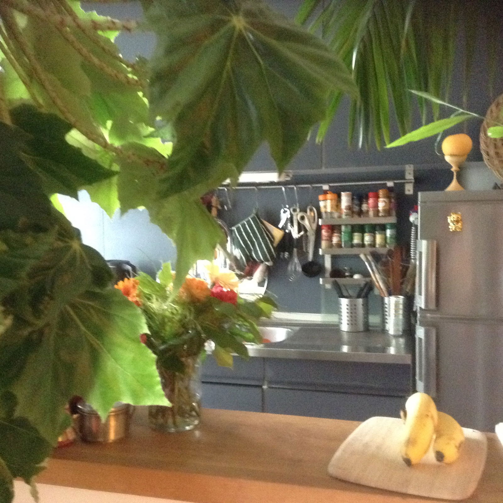 Kolokation Uccle 231620