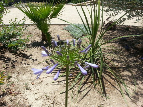 Hjemmeophold Pomérols 92853