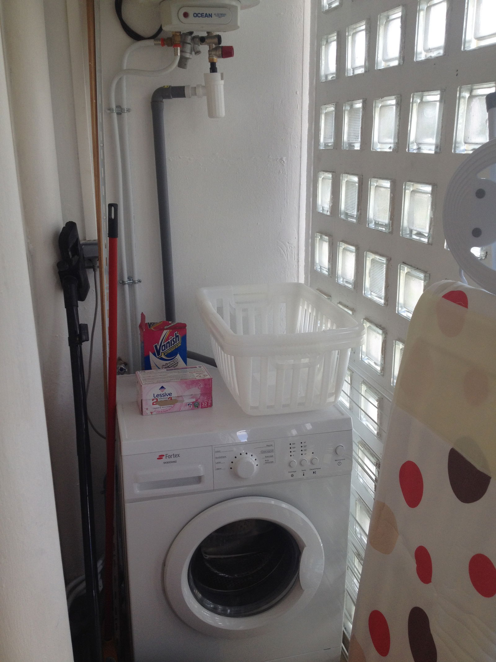 Kolokasie Pointe-à-Pitre 615329