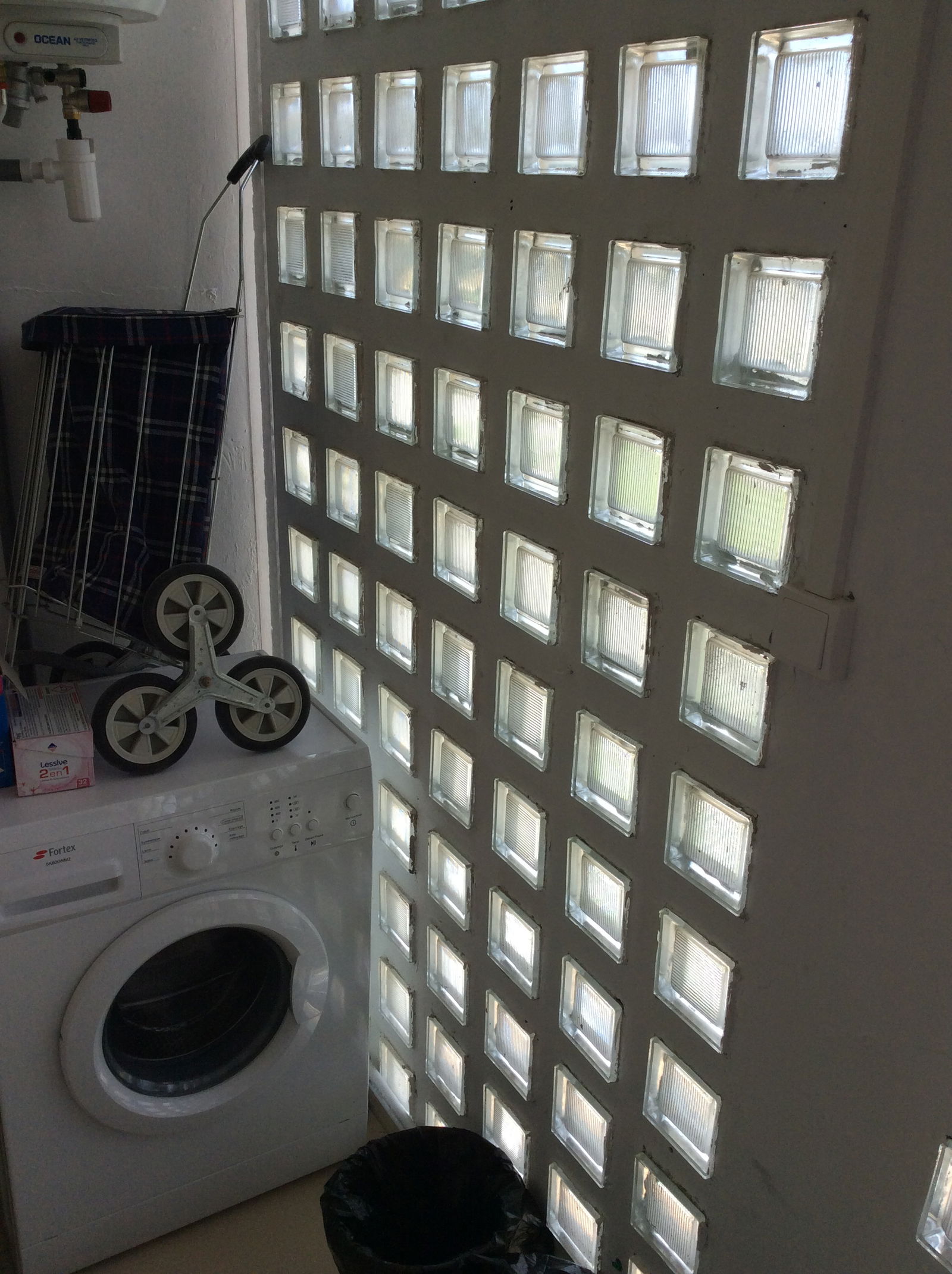 Kolokasie Pointe-à-Pitre 615329