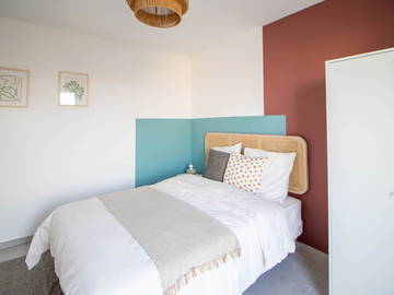 Chambre À Louer Villeurbanne 265576