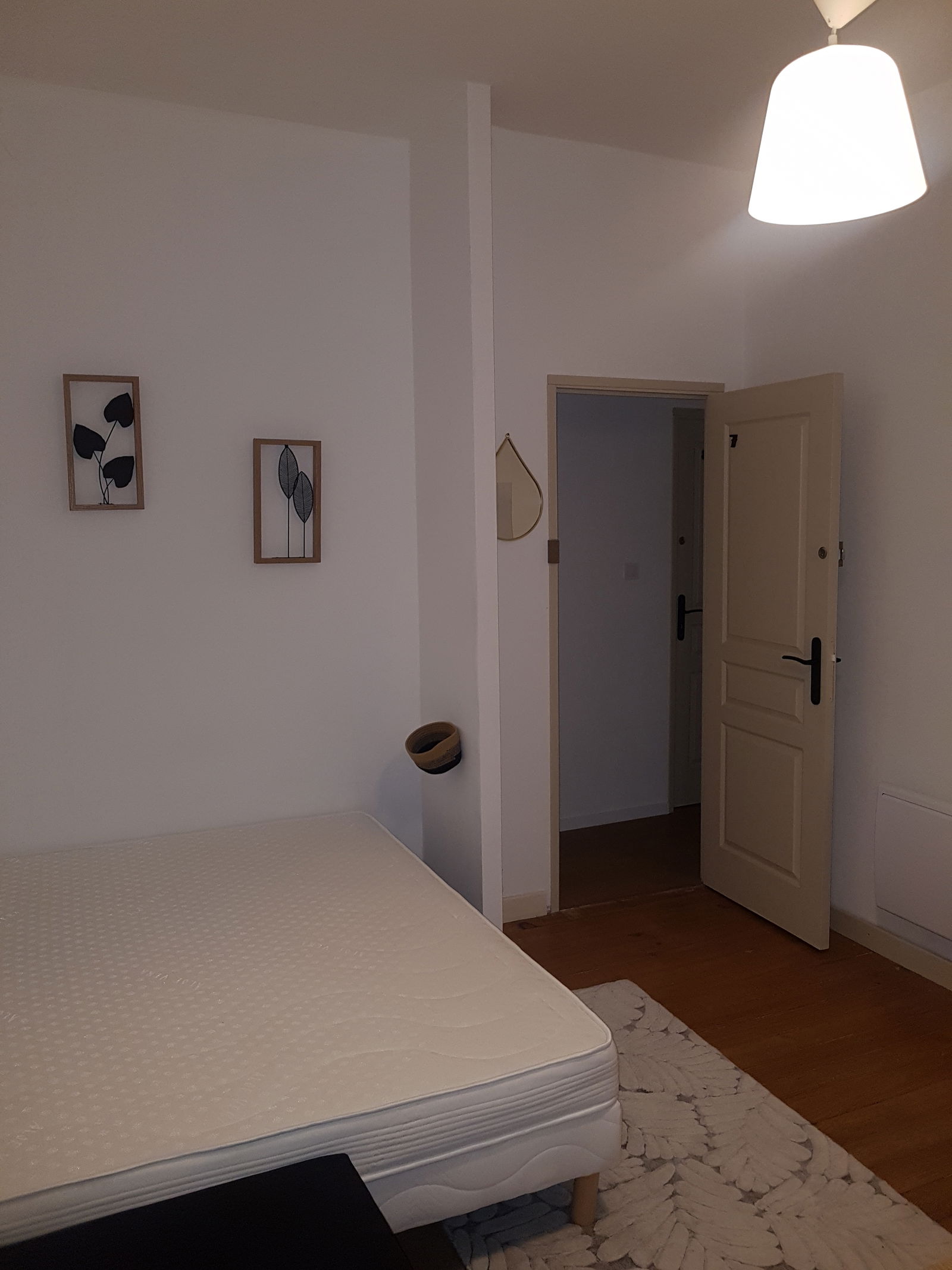 Colocation Roanne 336804