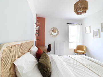 Chambre À Louer Villeurbanne 265597