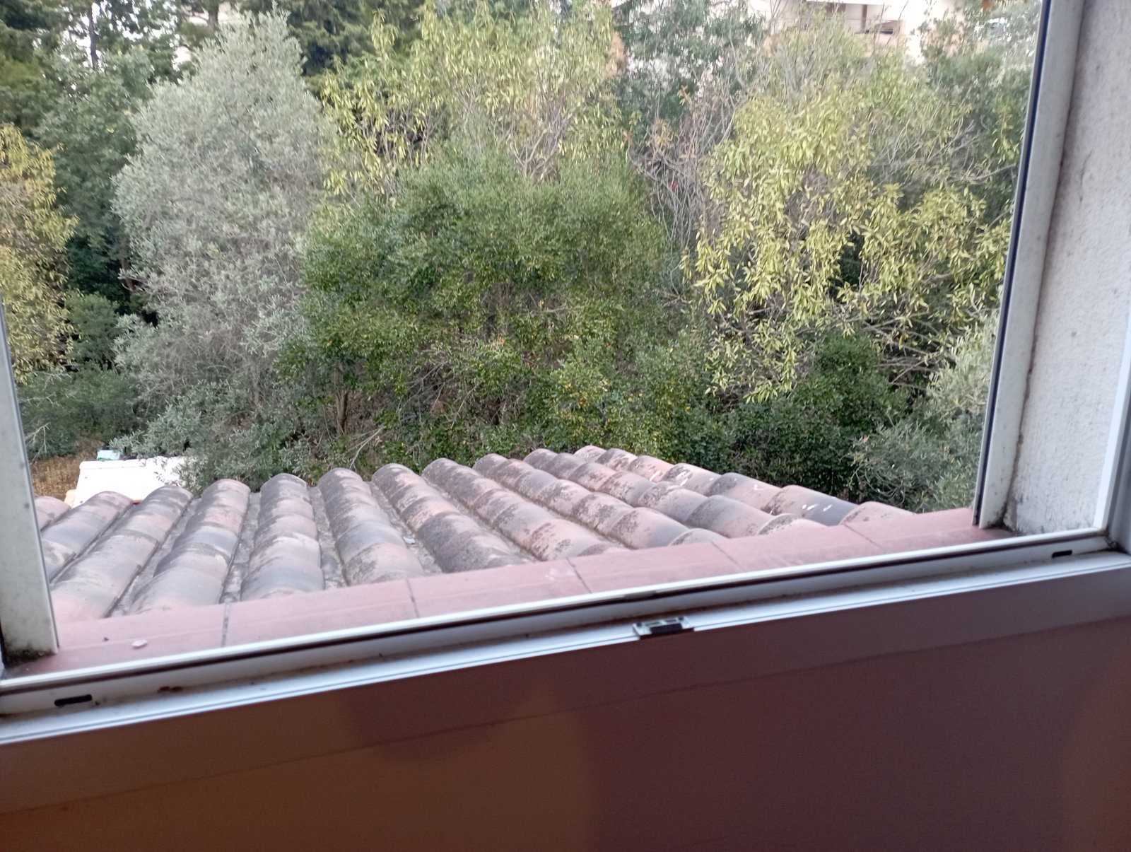 Homestay Marseille 613823