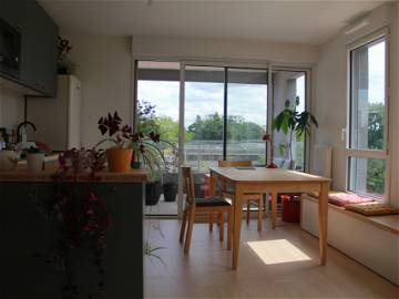 Chambre À Louer Rennes 267391