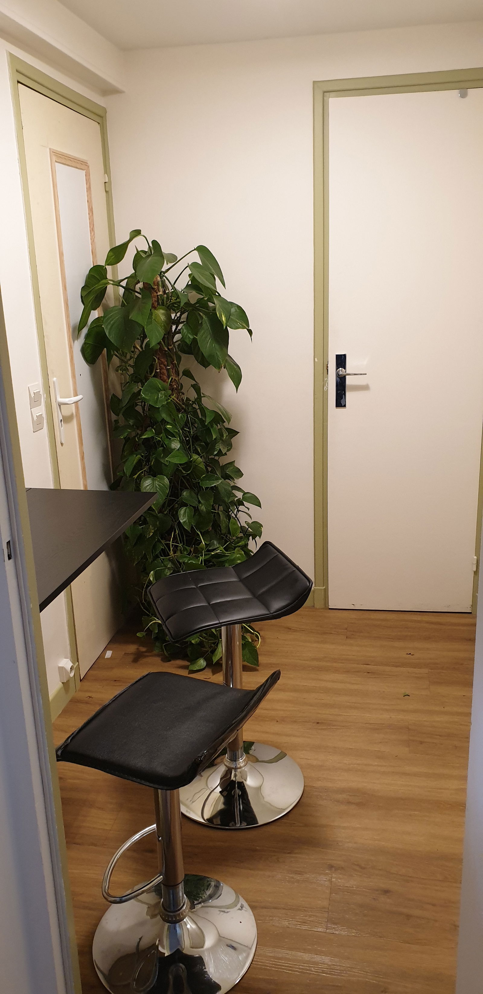 Colocation Orsay 245092