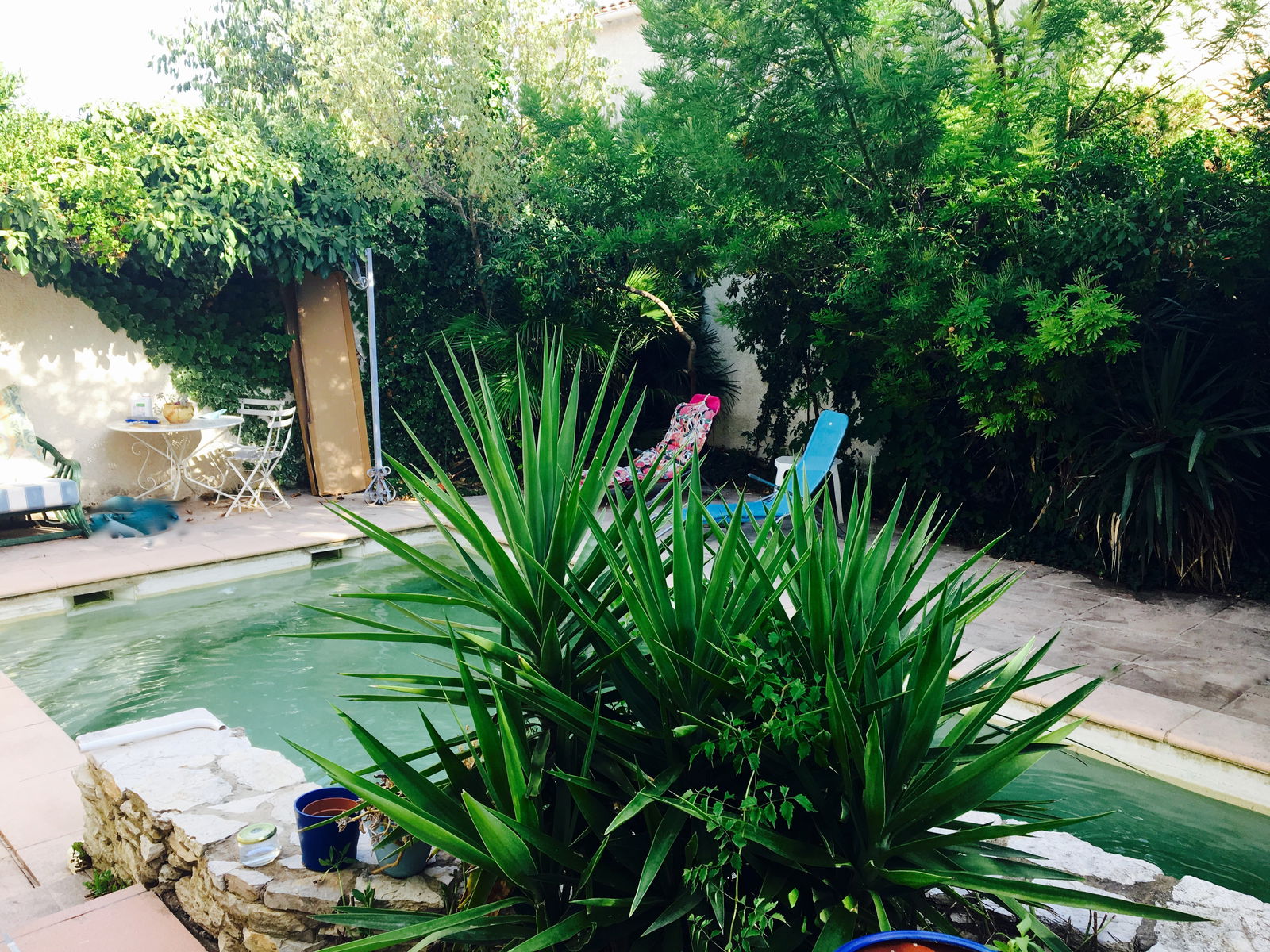 Homestay Castelnau-le-Lez 178411