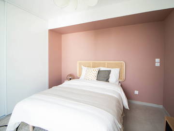 Chambre À Louer Villeurbanne 265625