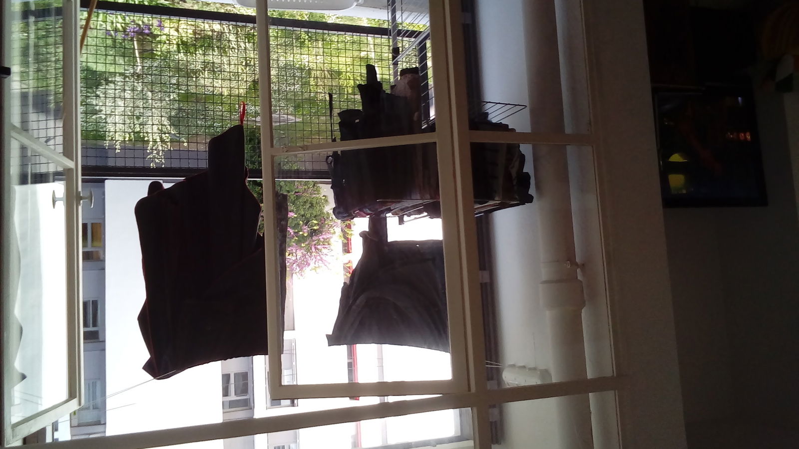 Colocation Aix-en-Provence 164059