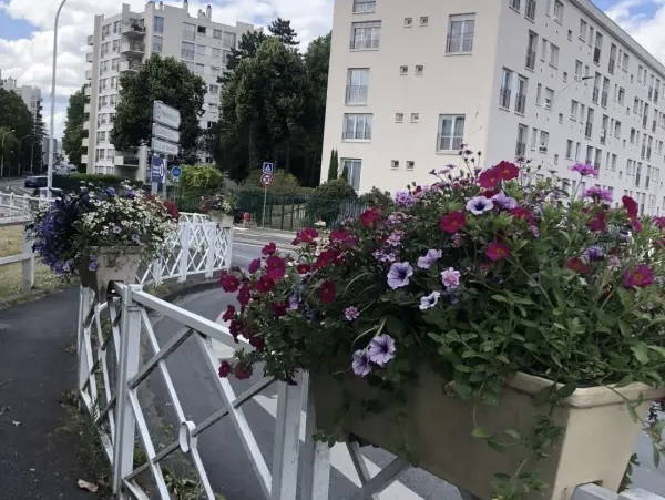 Homestay Le Plessis-Bouchard 255579-4