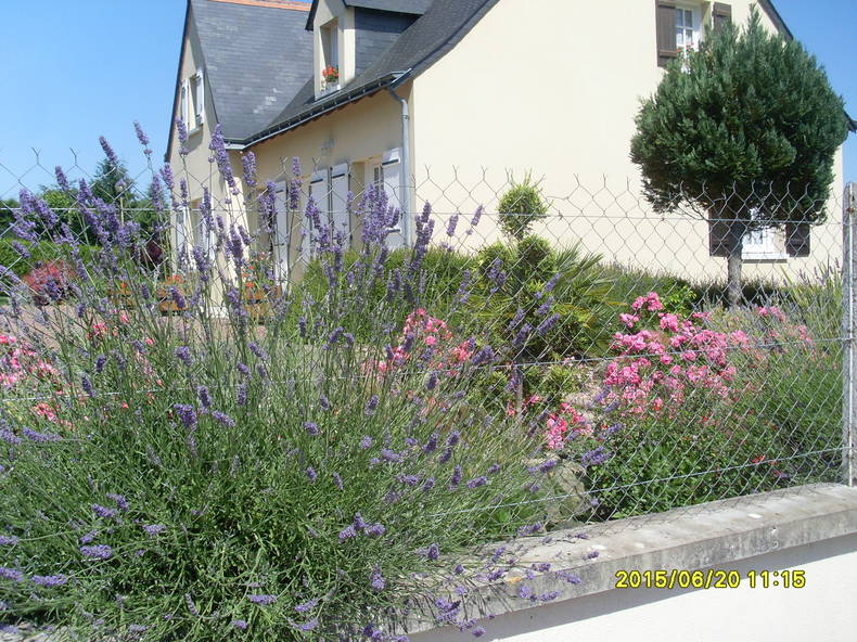 Hemvistelse Cinais 114218-2