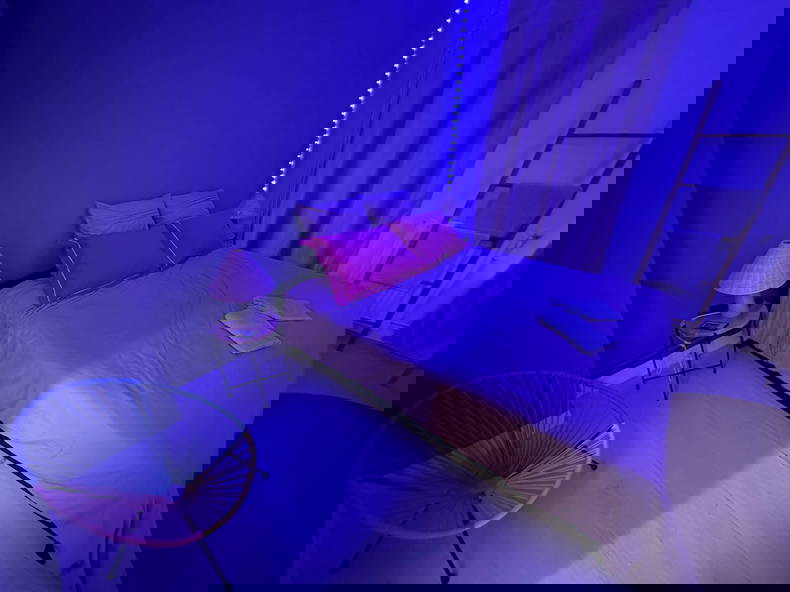 Quedarse En Casa Persan 268602-1