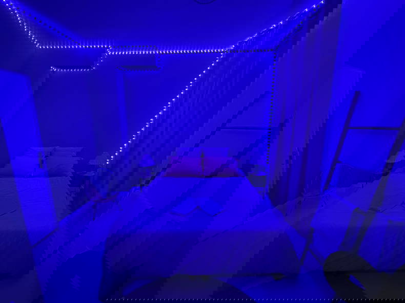 Quedarse En Casa Persan 268602-2