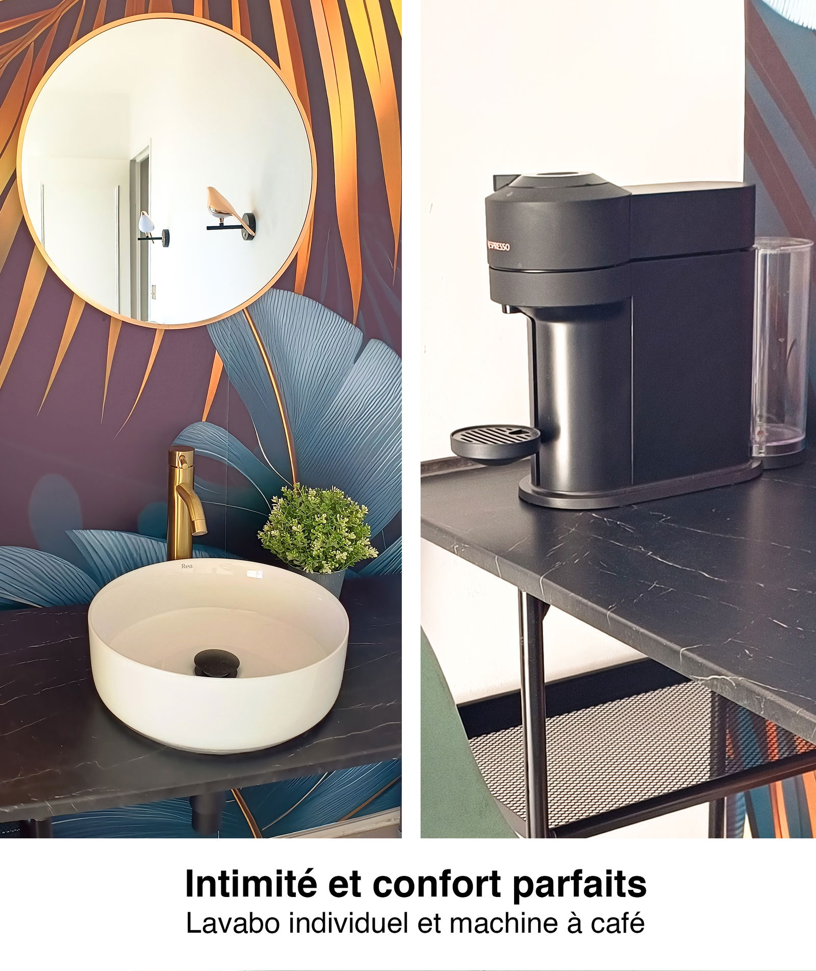 Colocation Nice 661079