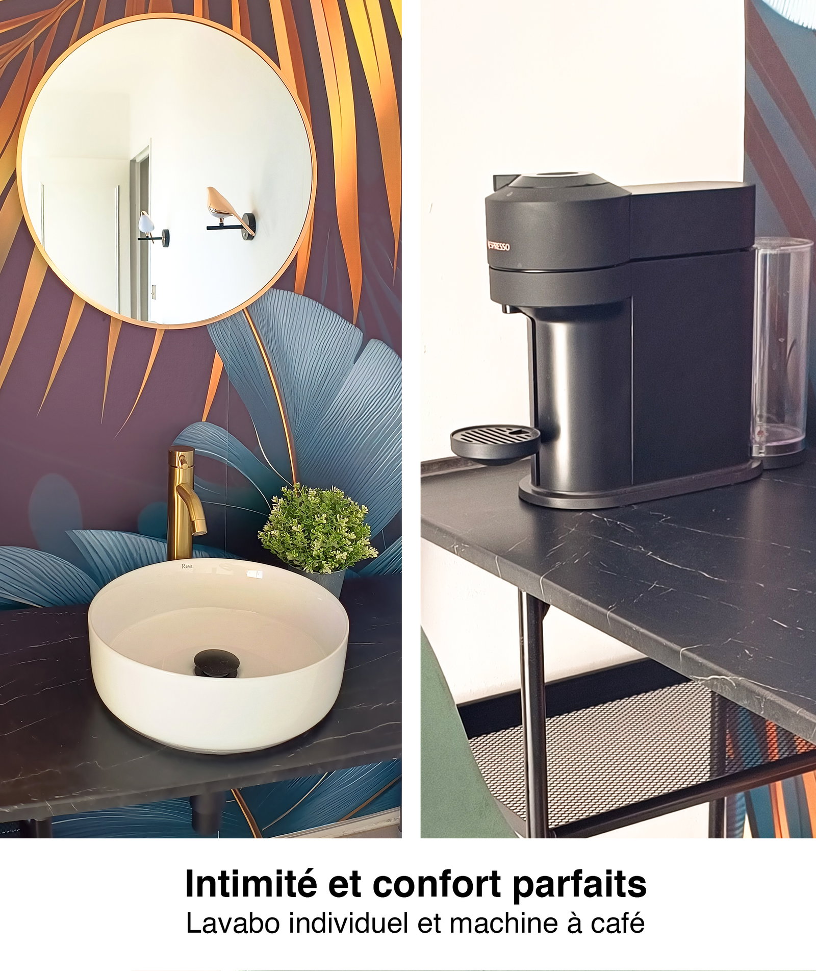 Kolokacja Nice 661079