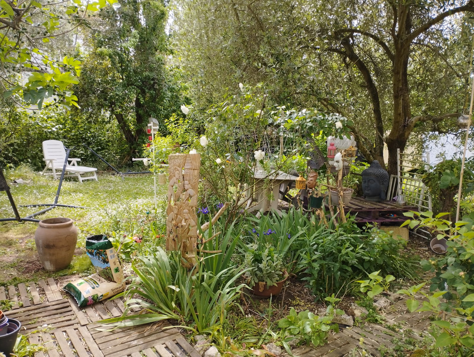 Homestay Athis-Mons 256705