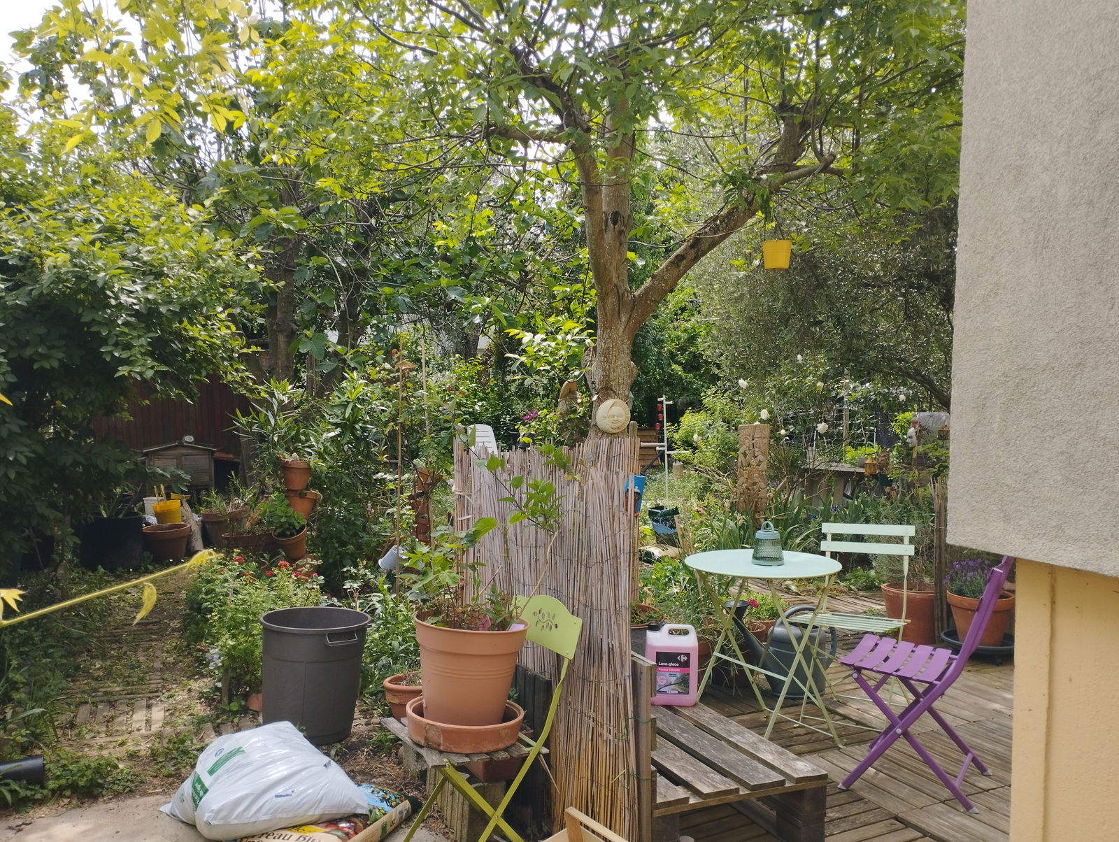 Homestay Athis-Mons 256705