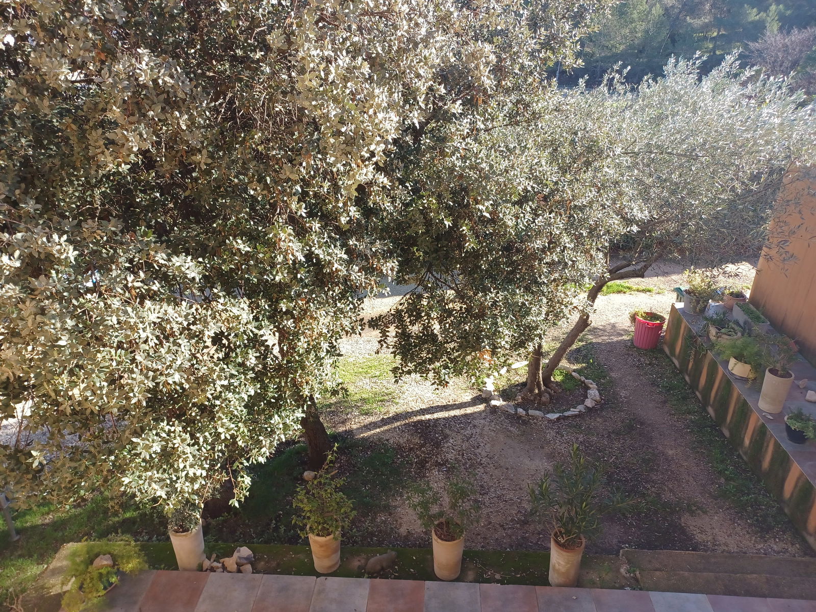 Hela Huset Nîmes 254299