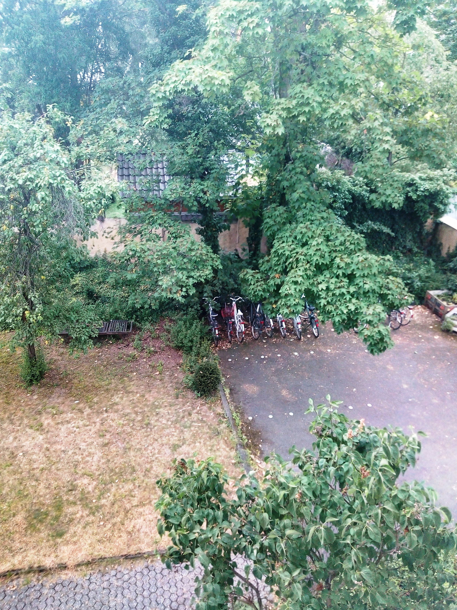 Hospedagem Em Casa De Família BN 226367