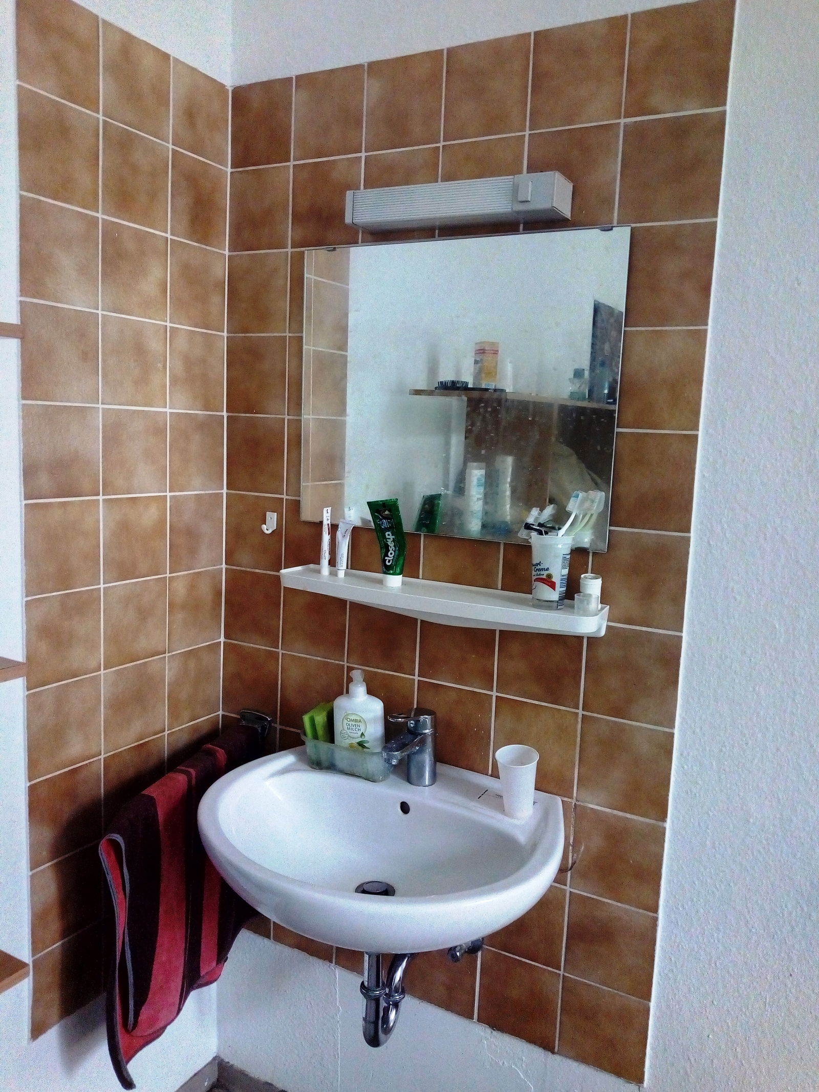 Gastfamilie BN 226367